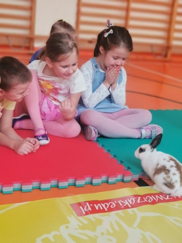 Dzieci poznają królika.