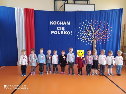 Motylki